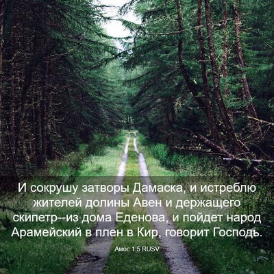 Picture 03 - Амос 1:5 RUSV - И сокрушу затворы Дамаска, - Bible Verse Picture
