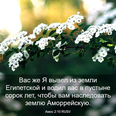 Picture 03 - Амос 2:10 RUSV - Вас же Я вывел из земли - Bible Verse Picture