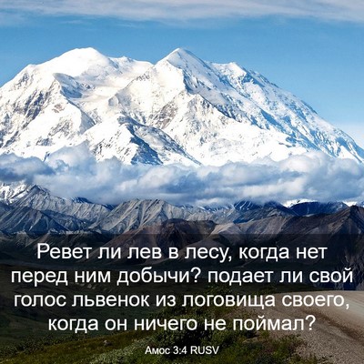 Picture 03 - Амос 3:4 RUSV - Ревет ли лев в лесу, когда - Bible Verse Picture