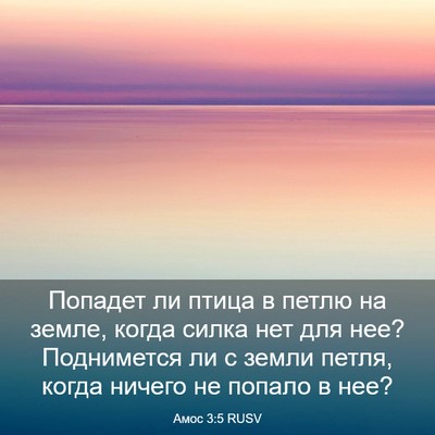 Picture 03 - Амос 3:5 RUSV - Попадет ли птица в петлю на - Bible Verse Picture