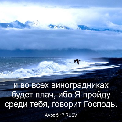 Picture 03 - Амос 5:17 RUSV - и во всех виноградниках - Bible Verse Picture