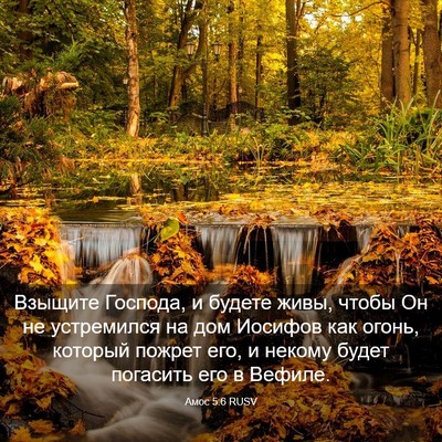 Picture 03 - Амос 5:6 RUSV - Взыщите Господа, и будете - Bible Verse Picture
