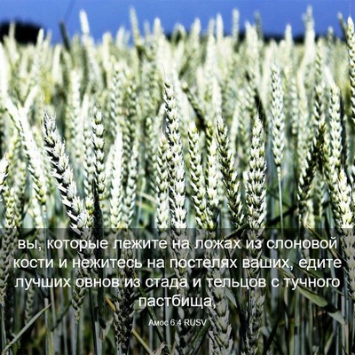 Picture 03 - Амос 6:4 RUSV - вы, которые лежите на ложах - Bible Verse Picture
