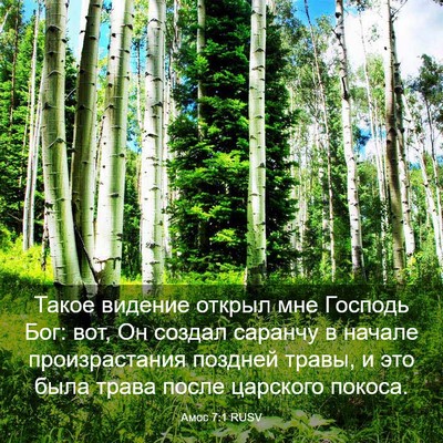 Picture 03 - Амос 7:1 RUSV - Такое видение открыл мне - Bible Verse Picture