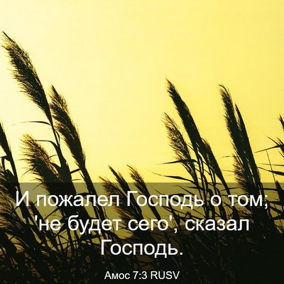 Picture 03 - Амос 7:3 RUSV - И пожалел Господь о том; 'не - Bible Verse Picture