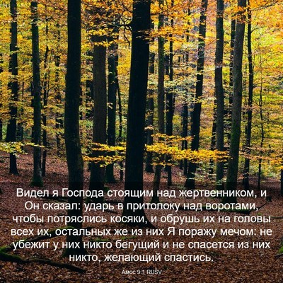 Picture 03 - Амос 9:1 RUSV - Видел я Господа стоящим - Bible Verse Picture