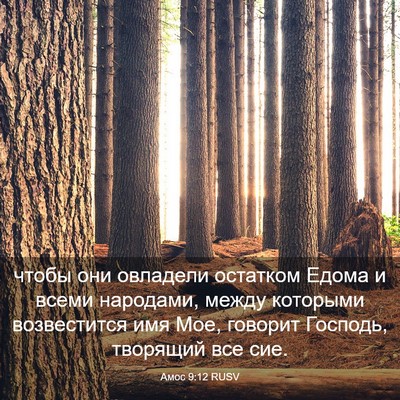 Picture 03 - Амос 9:12 RUSV - чтобы они овладели - Bible Verse Picture