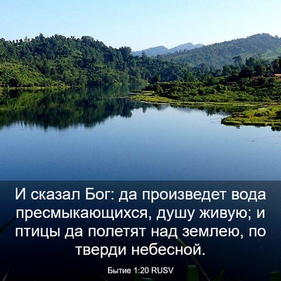 Picture 03 - Бытие 1:20 RUSV - И сказал Бог: да произведет - Bible Verse Picture