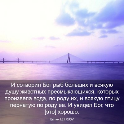 Picture 03 - Бытие 1:21 RUSV - И сотворил Бог рыб больших - Bible Verse Picture