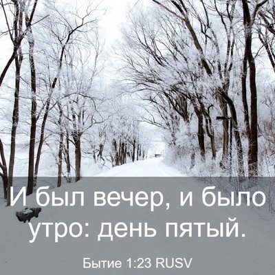 Picture 03 - Бытие 1:23 RUSV - И был вечер, и было утро: - Bible Verse Picture