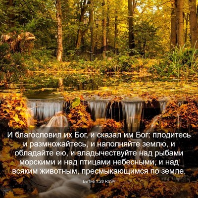 Picture 03 - Бытие 1:28 RUSV - И благословил их Бог, и - Bible Verse Picture
