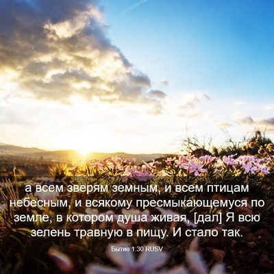 Picture 03 - Бытие 1:30 RUSV - а всем зверям земным, и - Bible Verse Picture