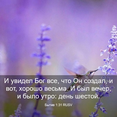 Picture 03 - Бытие 1:31 RUSV - И увидел Бог все, что Он - Bible Verse Picture