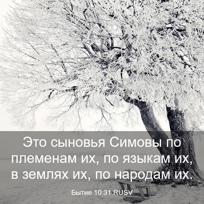 Picture 03 - Бытие 10:31 RUSV - Это сыновья Симовы по - Bible Verse Picture
