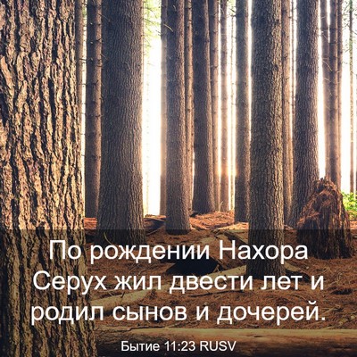 Picture 03 - Бытие 11:23 RUSV - По рождении Нахора Серух - Bible Verse Picture