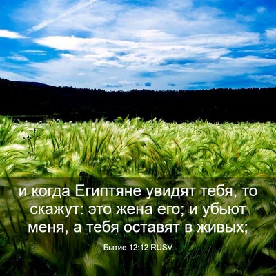 Picture 03 - Бытие 12:12 RUSV - и когда Египтяне увидят - Bible Verse Picture