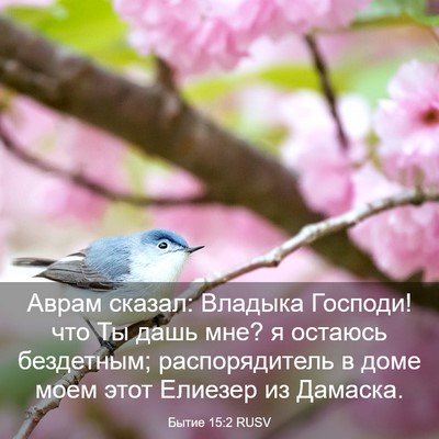 Picture 03 - Бытие 15:2 RUSV - Аврам сказал: Владыка - Bible Verse Picture
