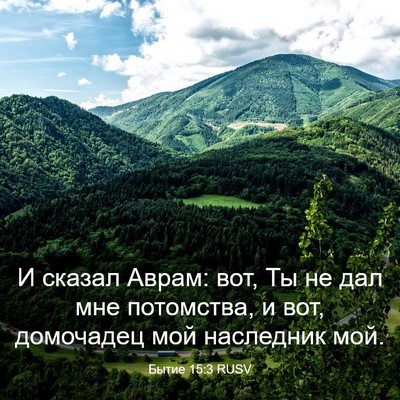 Picture 03 - Бытие 15:3 RUSV - И сказал Аврам: вот, Ты не - Bible Verse Picture