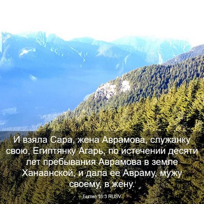 Picture 03 - Бытие 16:3 RUSV - И взяла Сара, жена - Bible Verse Picture