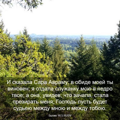 Picture 03 - Бытие 16:5 RUSV - И сказала Сара Авраму: в - Bible Verse Picture