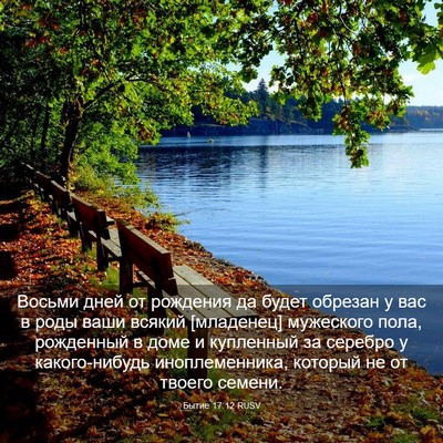 Picture 03 - Бытие 17:12 RUSV - Восьми дней от рождения да - Bible Verse Picture