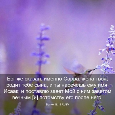 Picture 03 - Бытие 17:19 RUSV - Бог же сказал: именно - Bible Verse Picture