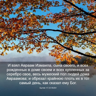 Picture 03 - Бытие 17:23 RUSV - И взял Авраам Измаила, сына - Bible Verse Picture