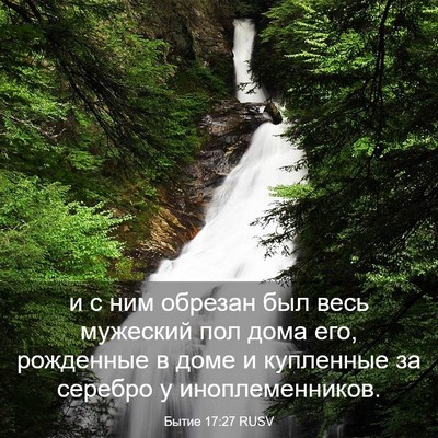 Picture 03 - Бытие 17:27 RUSV - и с ним обрезан был весь - Bible Verse Picture