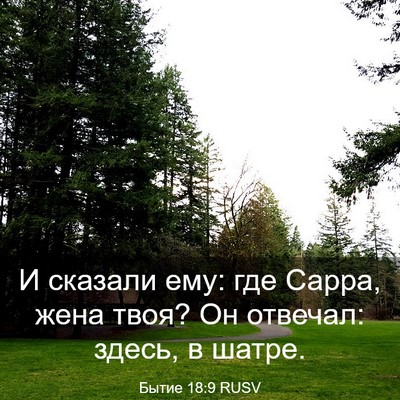 Picture 03 - Бытие 18:9 RUSV - И сказали ему: где Сарра, - Bible Verse Picture
