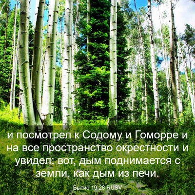 Picture 03 - Бытие 19:28 RUSV - и посмотрел к Содому и - Bible Verse Picture