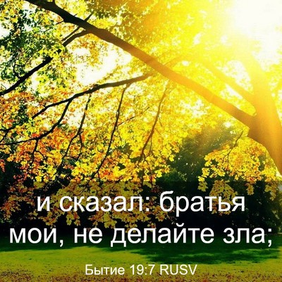 Picture 03 - Бытие 19:7 RUSV - и сказал: братья мои, не - Bible Verse Picture