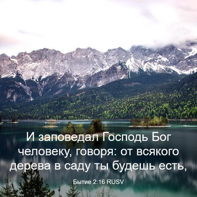 Picture 03 - Бытие 2:16 RUSV - И заповедал Господь Бог - Bible Verse Picture