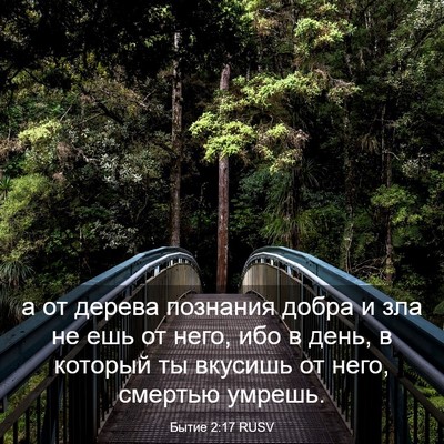 Picture 03 - Бытие 2:17 RUSV - а от дерева познания добра - Bible Verse Picture