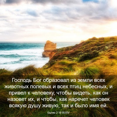 Picture 03 - Бытие 2:19 RUSV - Господь Бог образовал из - Bible Verse Picture