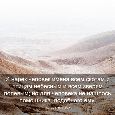 Picture 03 - Бытие 2:20 RUSV - И нарек человек имена всем - Bible Verse Picture