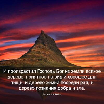 Picture 03 - Бытие 2:9 RUSV - И произрастил Господь Бог - Bible Verse Picture