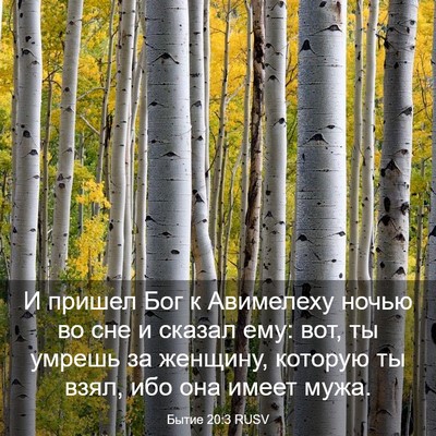 Picture 03 - Бытие 20:3 RUSV - И пришел Бог к Авимелеху - Bible Verse Picture