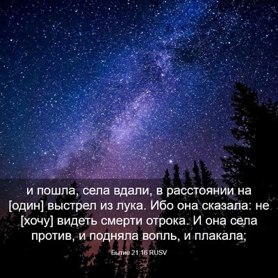 Picture 03 - Бытие 21:16 RUSV - и пошла, села вдали, в - Bible Verse Picture