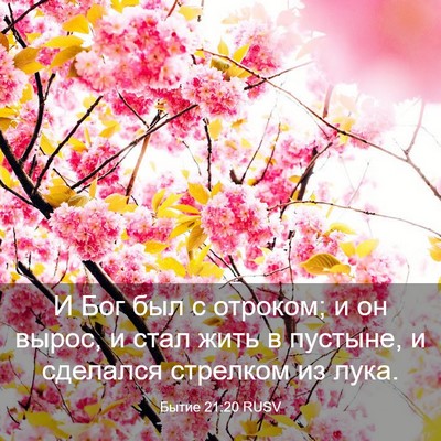 Picture 03 - Бытие 21:20 RUSV - И Бог был с отроком; и он - Bible Verse Picture
