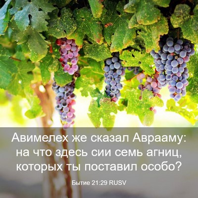 Picture 03 - Бытие 21:29 RUSV - Авимелех же сказал - Bible Verse Picture