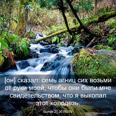 Picture 03 - Бытие 21:30 RUSV - [он] сказал: семь агниц сих - Bible Verse Picture