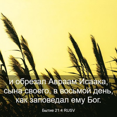 Picture 03 - Бытие 21:4 RUSV - и обрезал Авраам Исаака, - Bible Verse Picture
