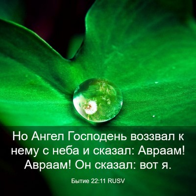Picture 03 - Бытие 22:11 RUSV - Но Ангел Господень воззвал - Bible Verse Picture