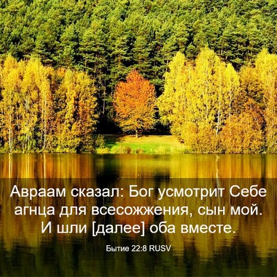 Picture 03 - Бытие 22:8 RUSV - Авраам сказал: Бог - Bible Verse Picture