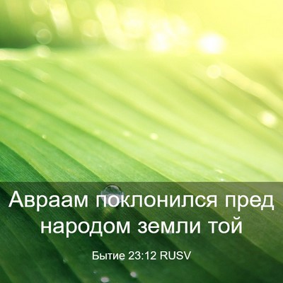 Picture 03 - Бытие 23:12 RUSV - Авраам поклонился пред - Bible Verse Picture