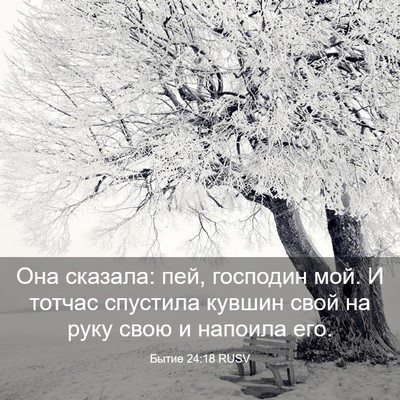 Picture 03 - Бытие 24:18 RUSV - Она сказала: пей, господин - Bible Verse Picture