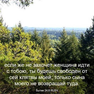 Picture 03 - Бытие 24:8 RUSV - если же не захочет женщина - Bible Verse Picture