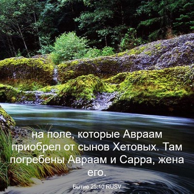 Picture 03 - Бытие 25:10 RUSV - на поле, которые Авраам - Bible Verse Picture