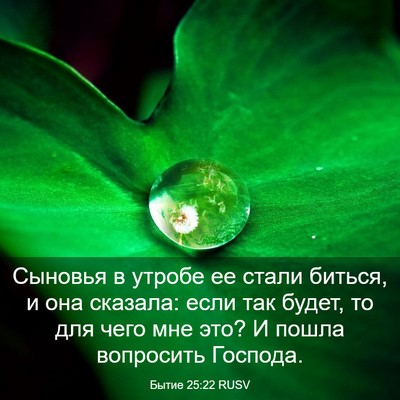 Picture 03 - Бытие 25:22 RUSV - Сыновья в утробе ее стали - Bible Verse Picture
