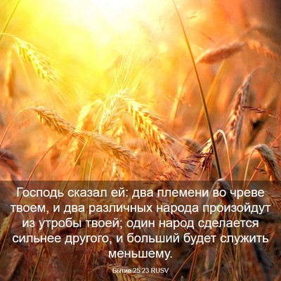 Picture 03 - Бытие 25:23 RUSV - Господь сказал ей: два - Bible Verse Picture